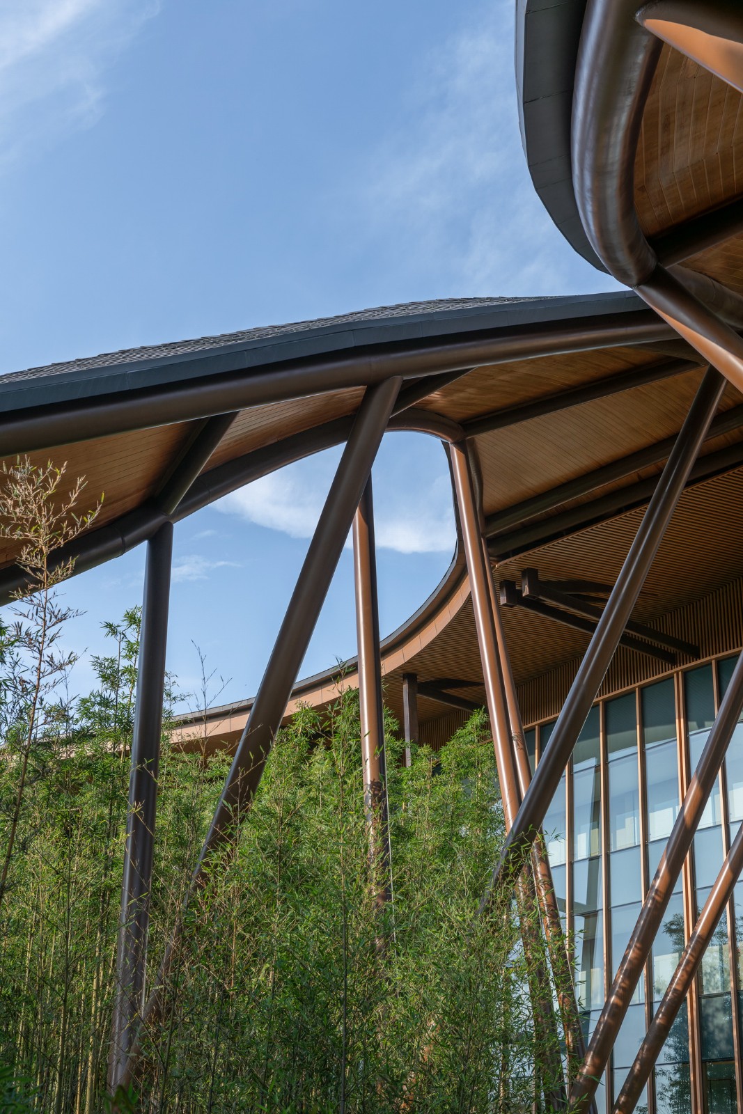 BIM建筑|“龙脊”- 地中海黑龙滩度假酒店 / AIM ARCHITECTURE