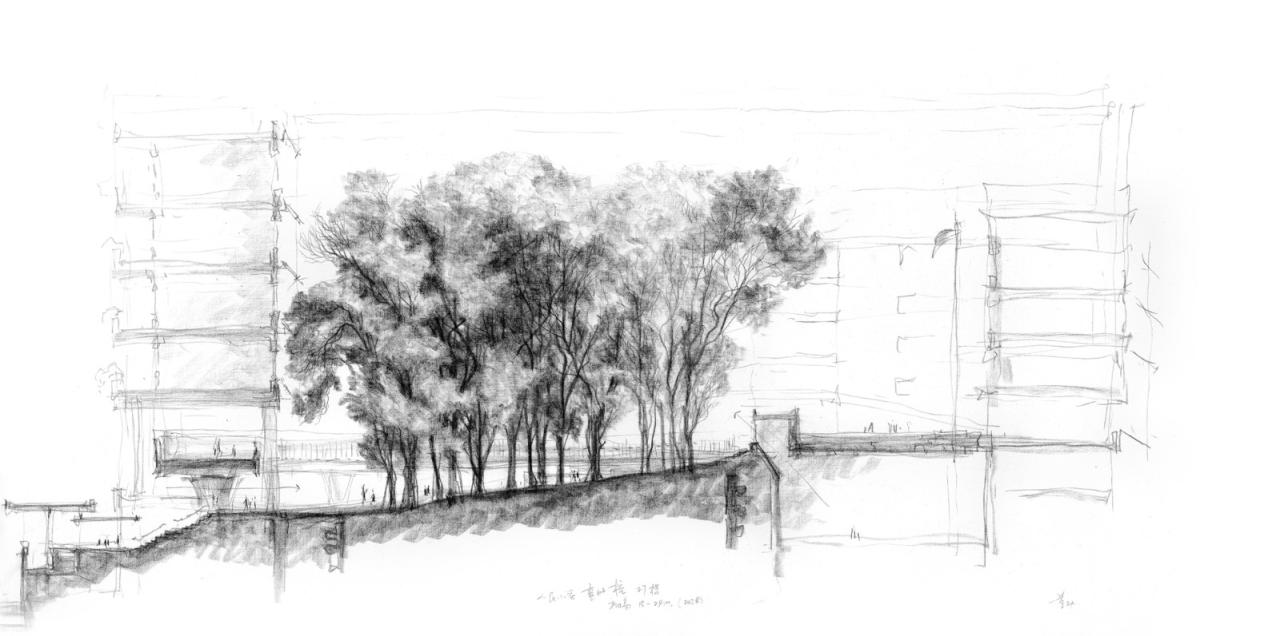 BIM建筑|深圳荔园外国语小学 / 直向建筑