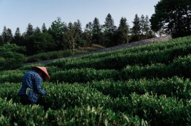 BIM建筑|上天入地：下岩贝穿云编木隧&腾云气象环 / 朱培栋-line+建筑事务所-BIM建筑网
