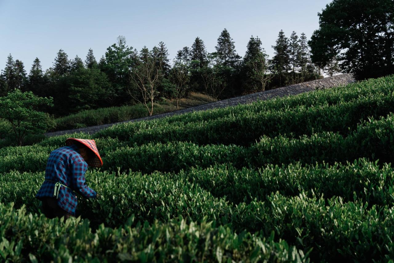 BIM建筑|上天入地：下岩贝穿云编木隧&腾云气象环 / 朱培栋-line+建筑事务所