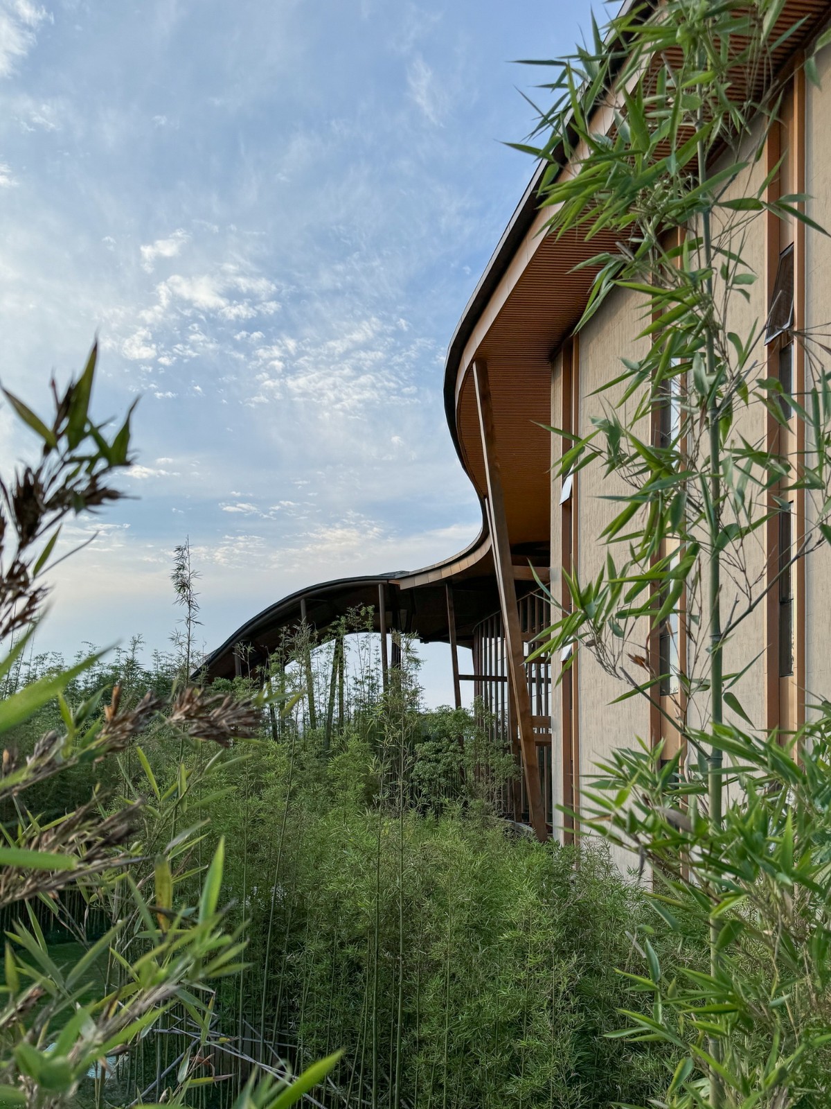 BIM建筑|“龙脊”- 地中海黑龙滩度假酒店 / AIM ARCHITECTURE