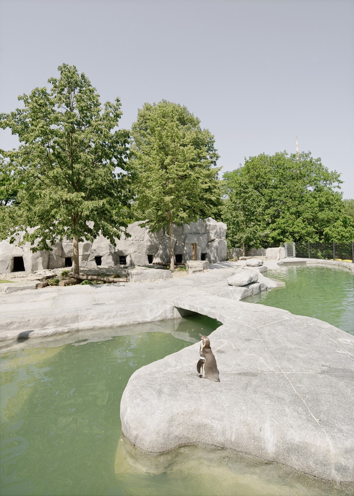 BIM建筑|路易森公园的绿色体验中心 / Bez+Kock Architekten