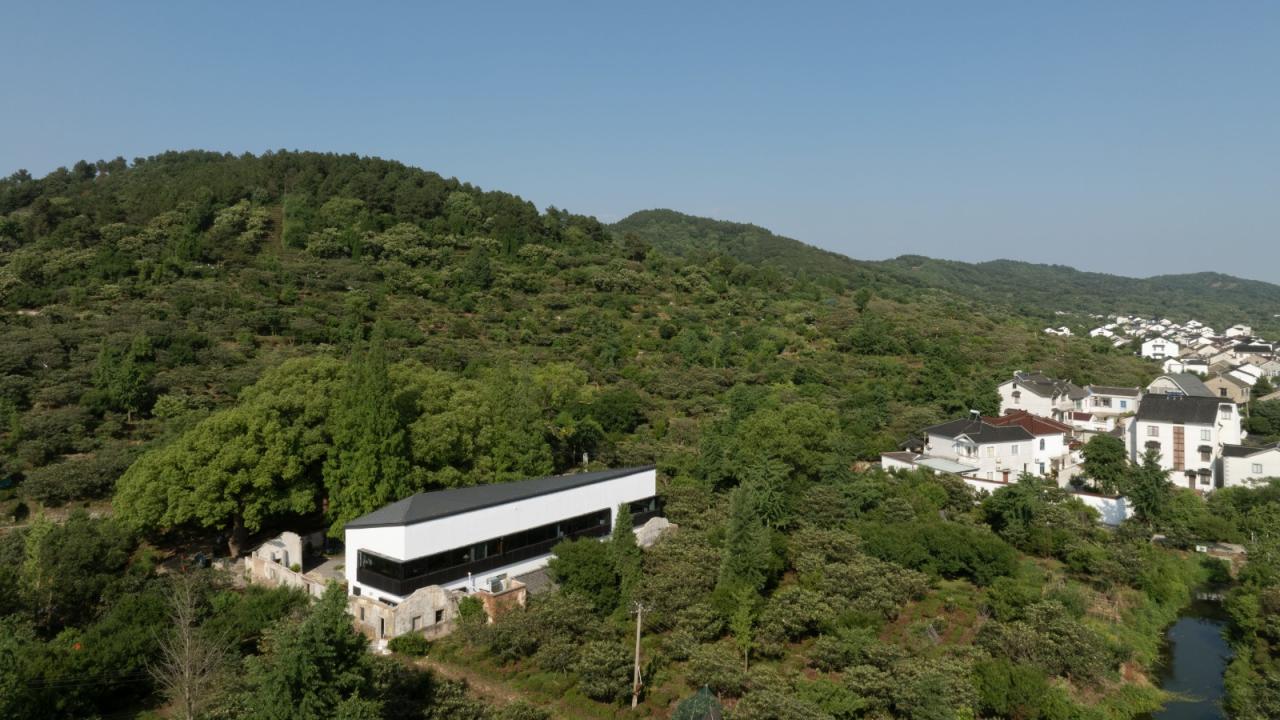 BIM建筑|五樟庭文旅生活馆 / 平介设计+上瑞元筑