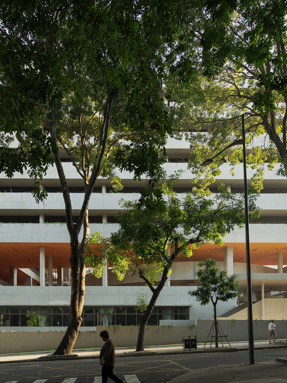 BIM建筑|深圳荔园外国语小学 / 直向建筑