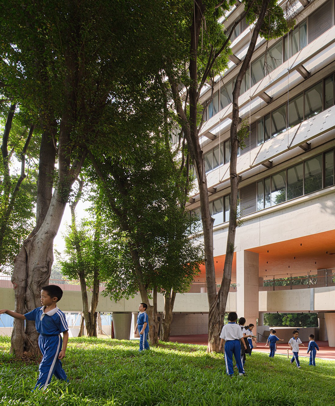 BIM建筑|深圳荔园外国语小学 / 直向建筑