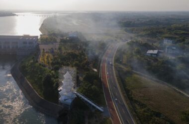 BIM建筑|人造树 / 有限设计工作室-BIM建筑网