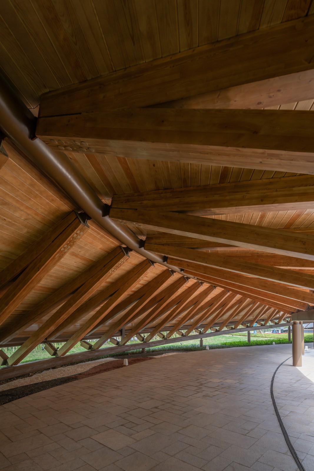 BIM建筑|“龙脊”- 地中海黑龙滩度假酒店 / AIM ARCHITECTURE