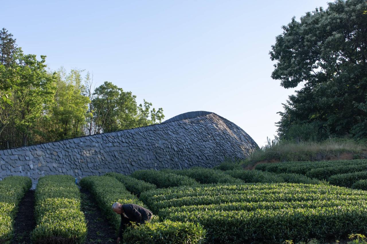 BIM建筑|上天入地：下岩贝穿云编木隧&腾云气象环 / 朱培栋-line+建筑事务所