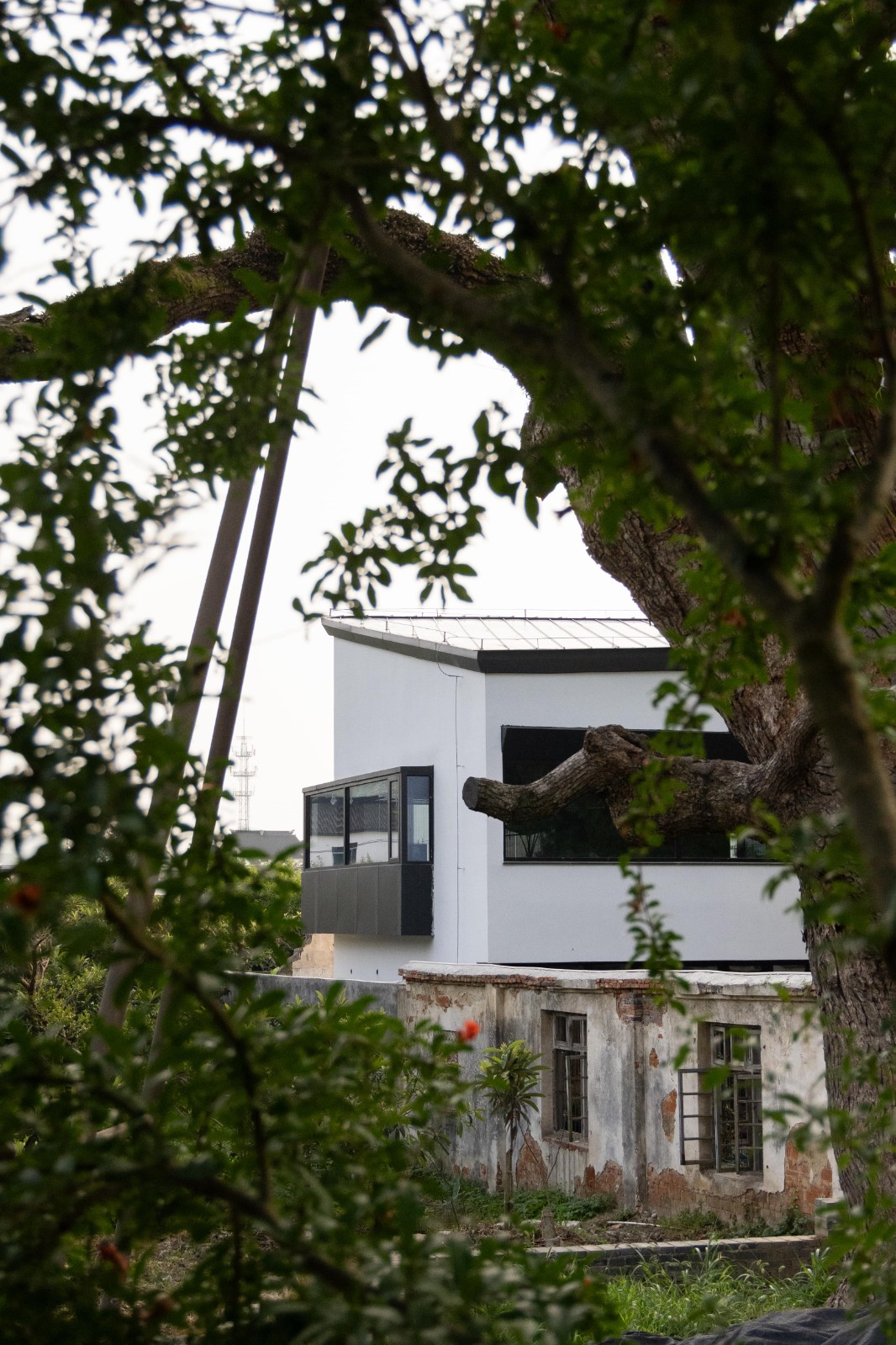 BIM建筑|五樟庭文旅生活馆 / 平介设计+上瑞元筑