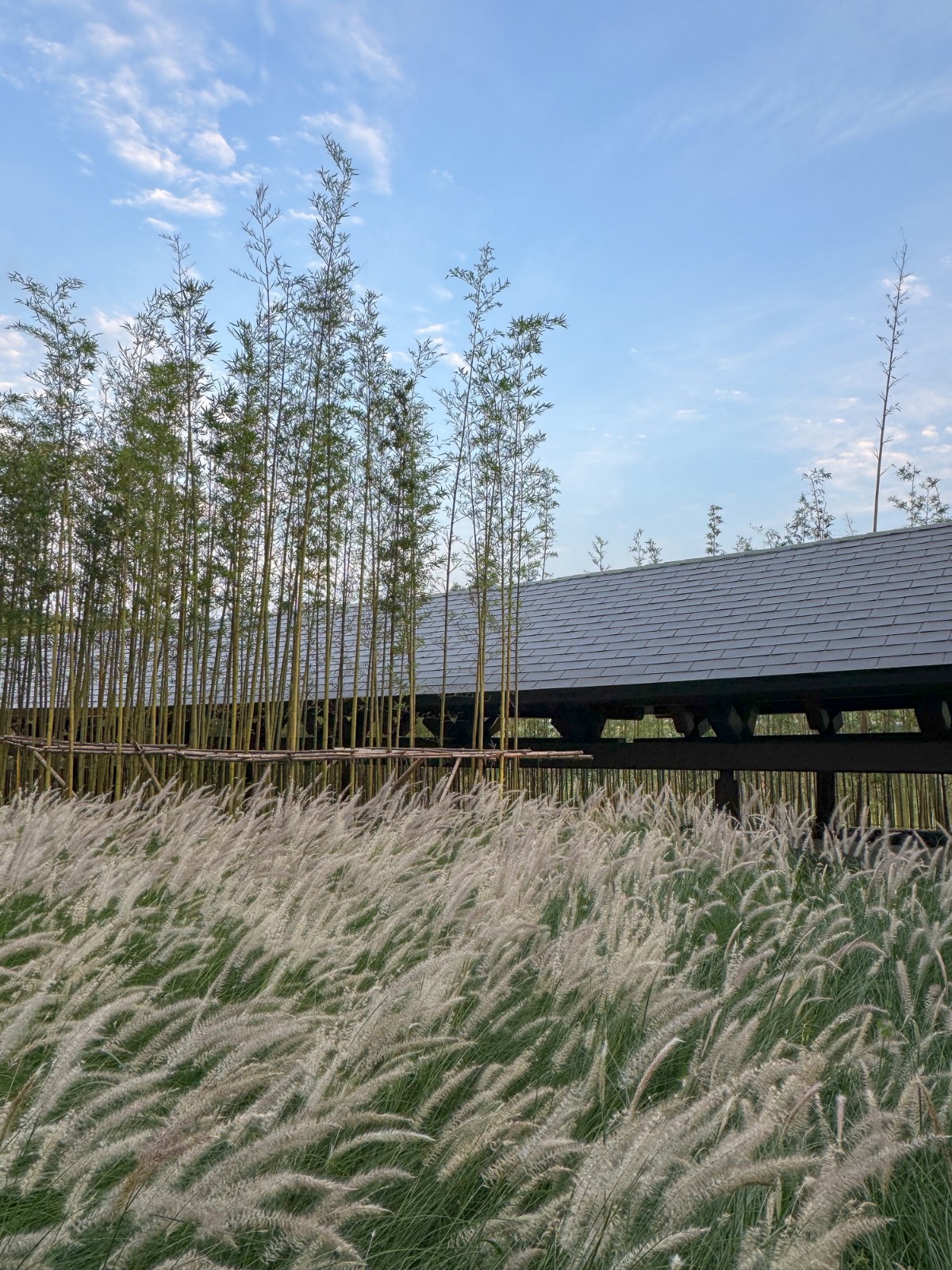 BIM建筑|“龙脊”- 地中海黑龙滩度假酒店 / AIM ARCHITECTURE