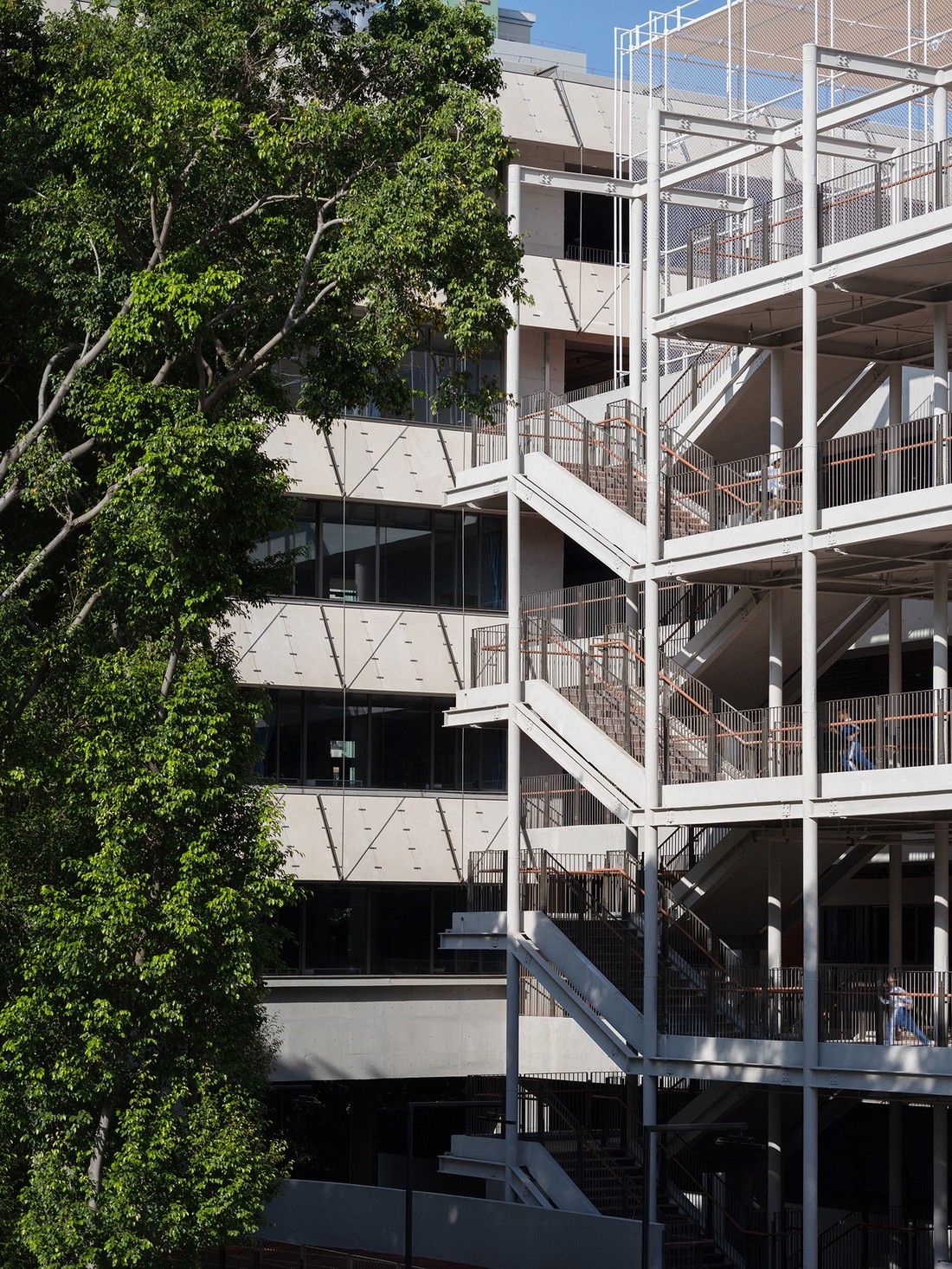 BIM建筑|深圳荔园外国语小学 / 直向建筑