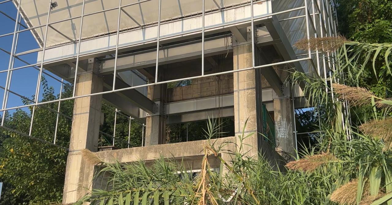 BIM建筑|人造树 / 有限设计工作室