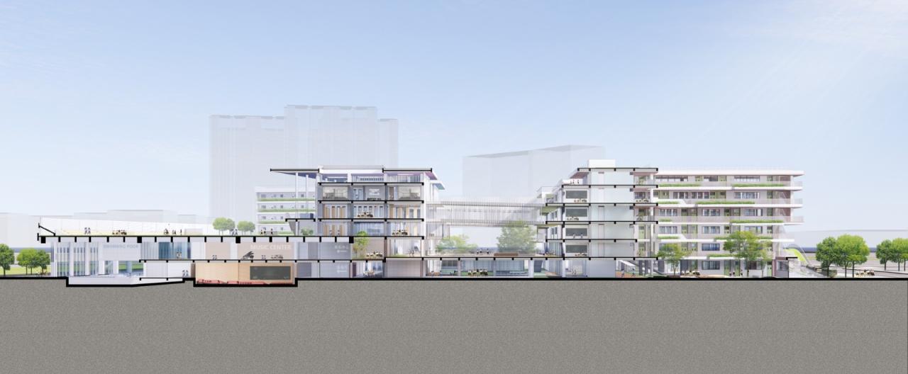 BIM建筑|深圳高级中学（集团）北校区新园 / CAPOL