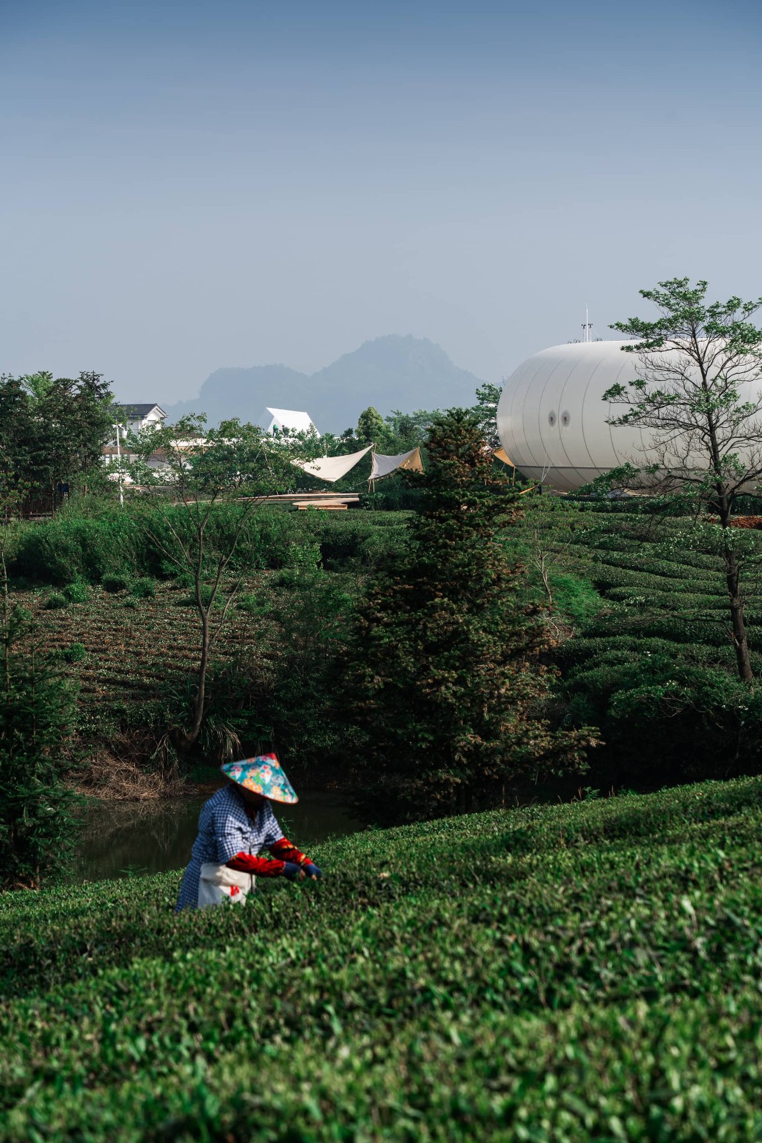 BIM建筑|上天入地：下岩贝穿云编木隧&腾云气象环 / 朱培栋-line+建筑事务所