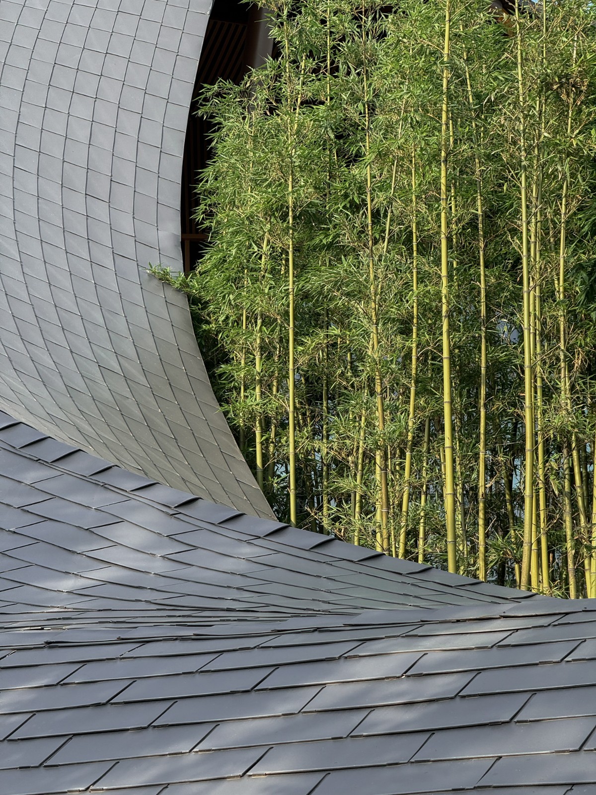 BIM建筑|“龙脊”- 地中海黑龙滩度假酒店 / AIM ARCHITECTURE