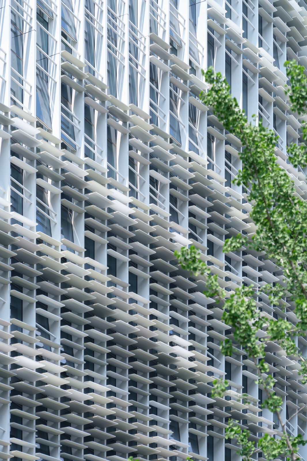 BIM建筑|乌镇堤上酒店外立面设计 / 上海直线建筑设计事务所