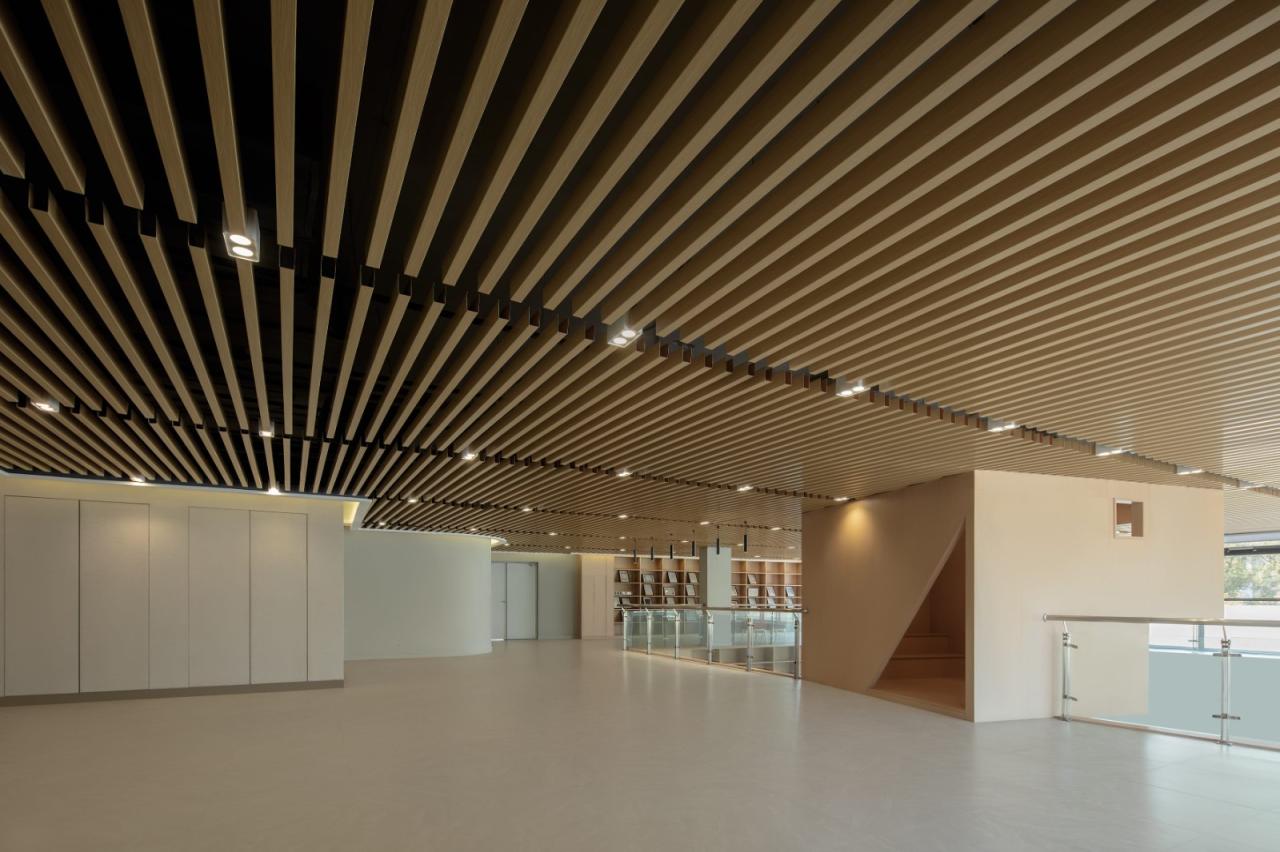 BIM建筑|长沙市南雅中学图书馆 / 中机国际罗劲工作室