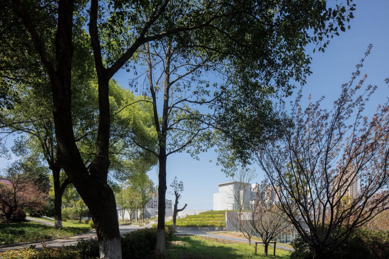 BIM建筑|长沙市南雅中学图书馆 / 中机国际罗劲工作室