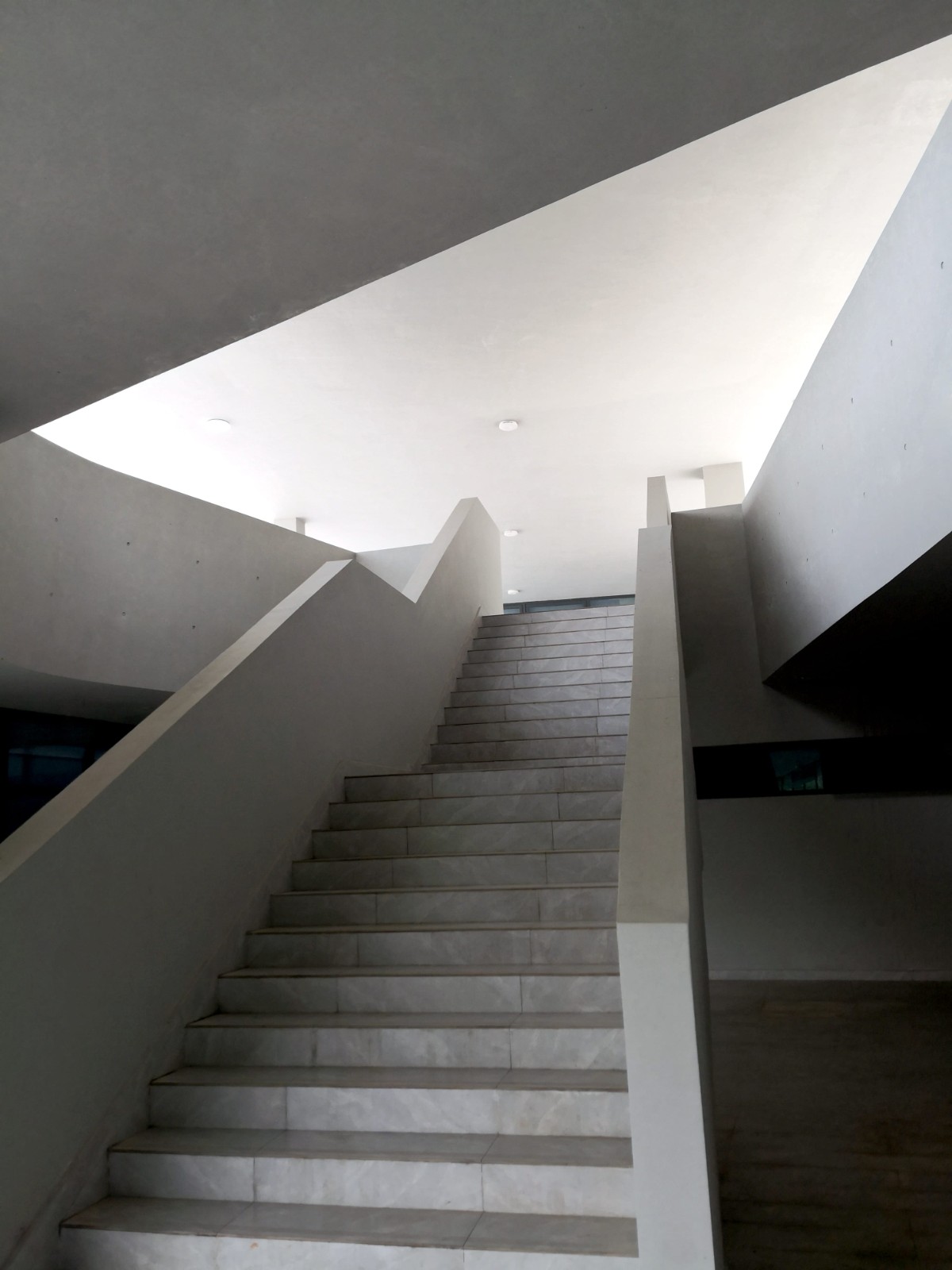 BIM建筑|长沙市南雅中学图书馆 / 中机国际罗劲工作室