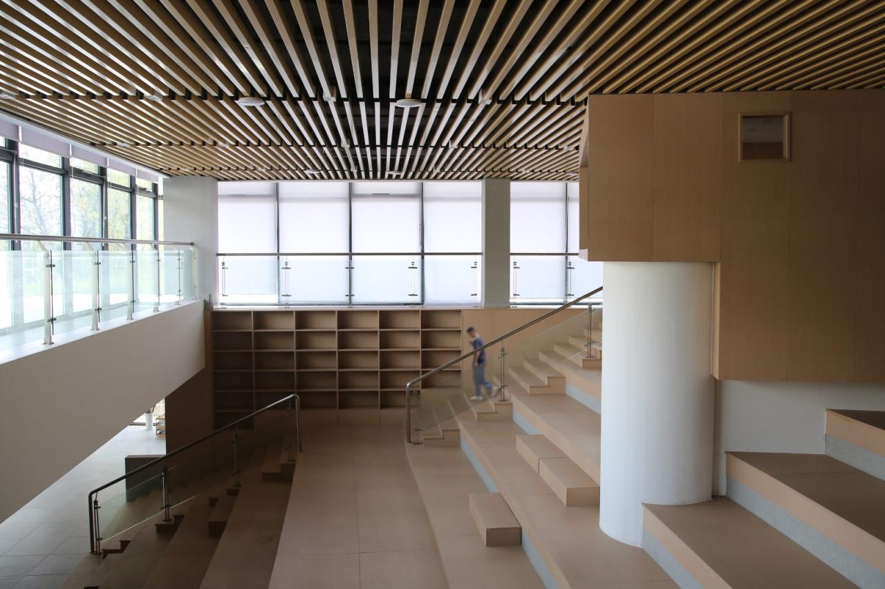 BIM建筑|长沙市南雅中学图书馆 / 中机国际罗劲工作室