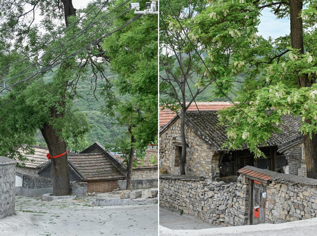 BIM建筑|伴山而居：后院•溜石港民宿 / GW空间设计