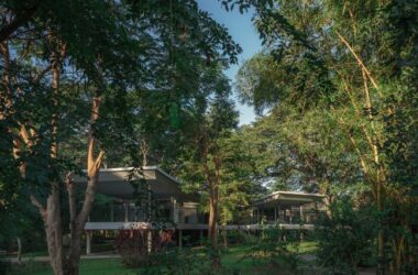 BIM建筑|All(zone)设计树木间混凝土公寓-BIM建筑网