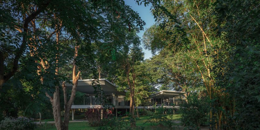 BIM建筑|All(zone)设计树木间混凝土公寓