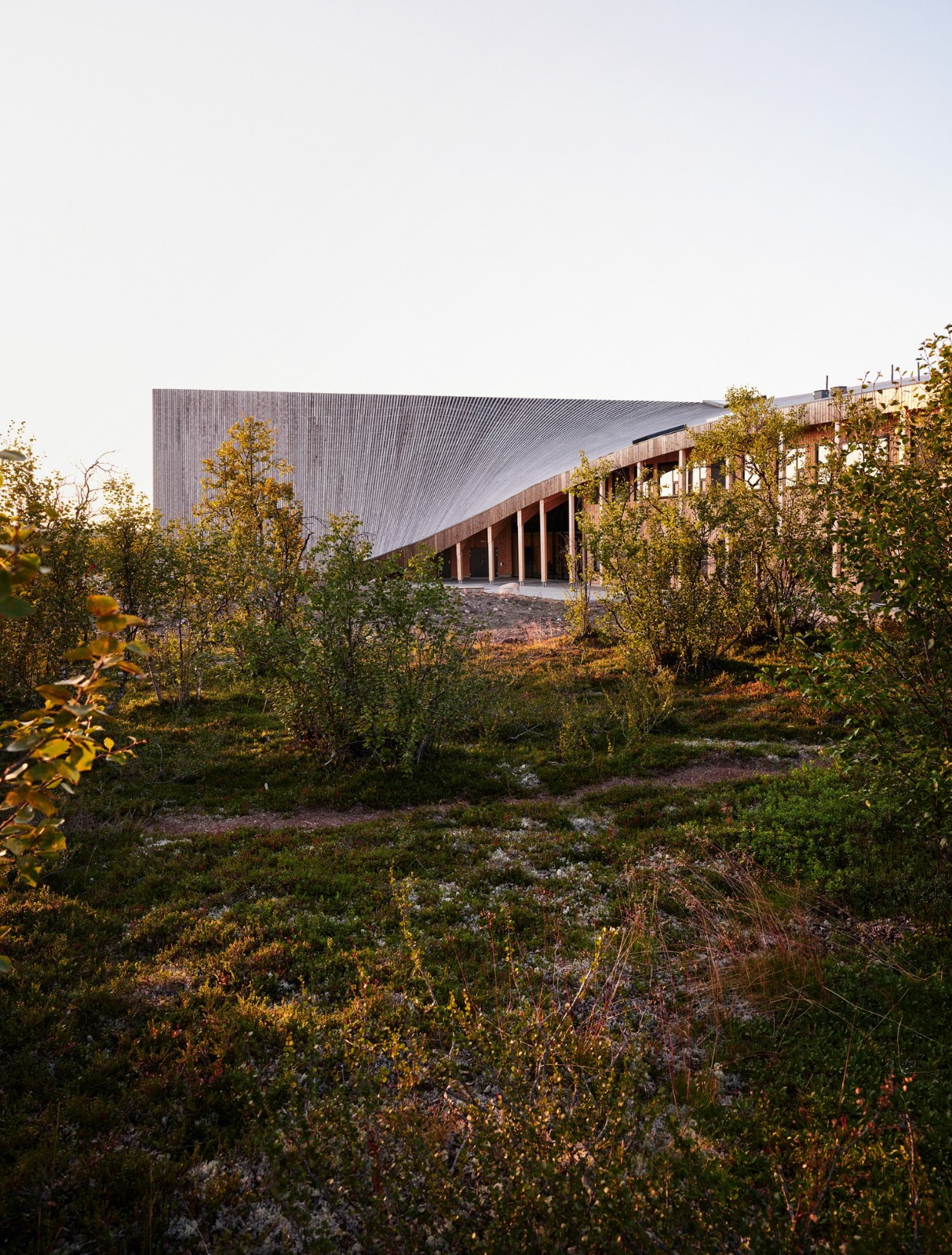 BIM建筑|Čoarvemátta 文化与教育中心 / Snøhetta + 70°N arkitektur + Joar Nango