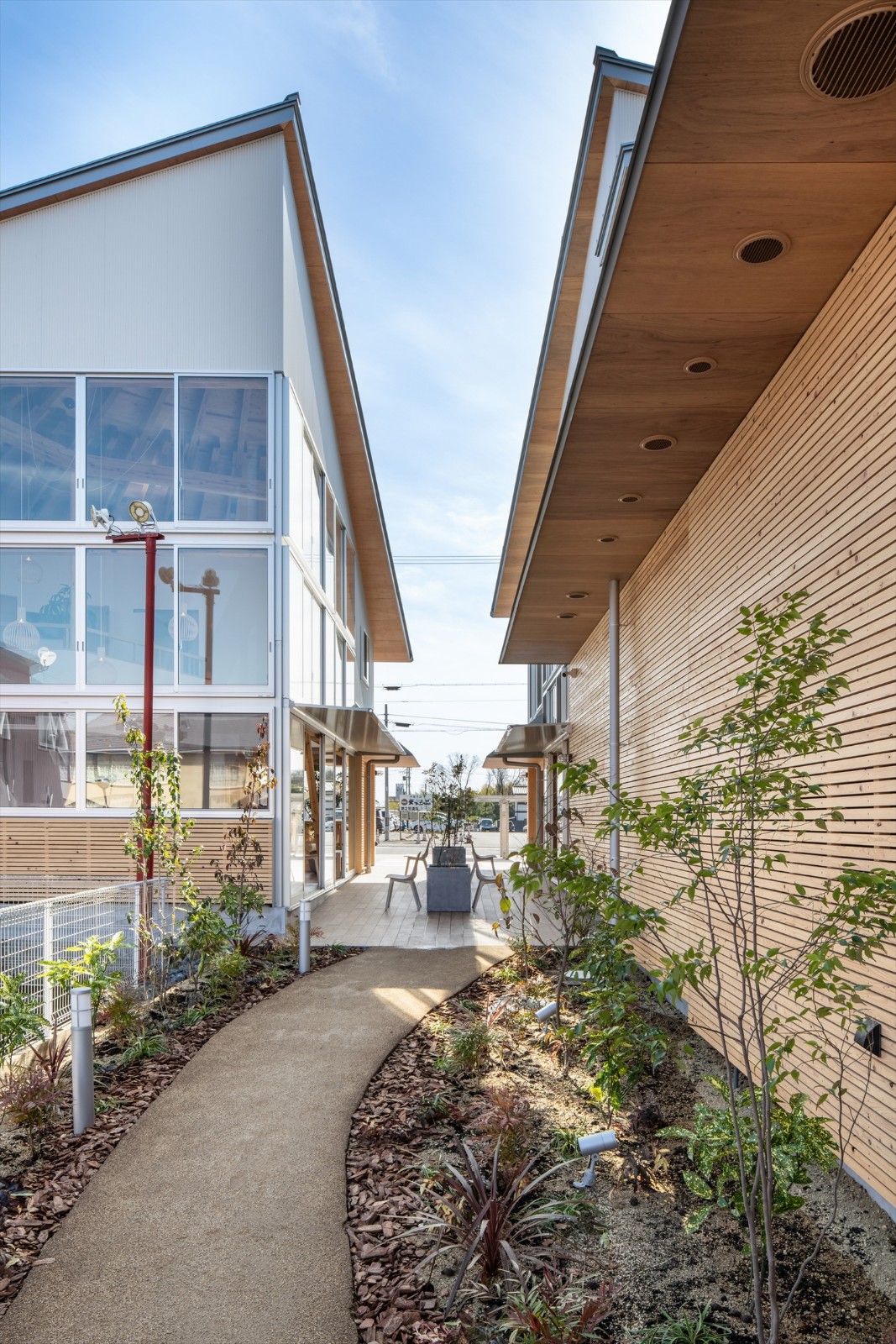 BIM建筑|旭之森内科和胃肠病诊所 / TSC Architects