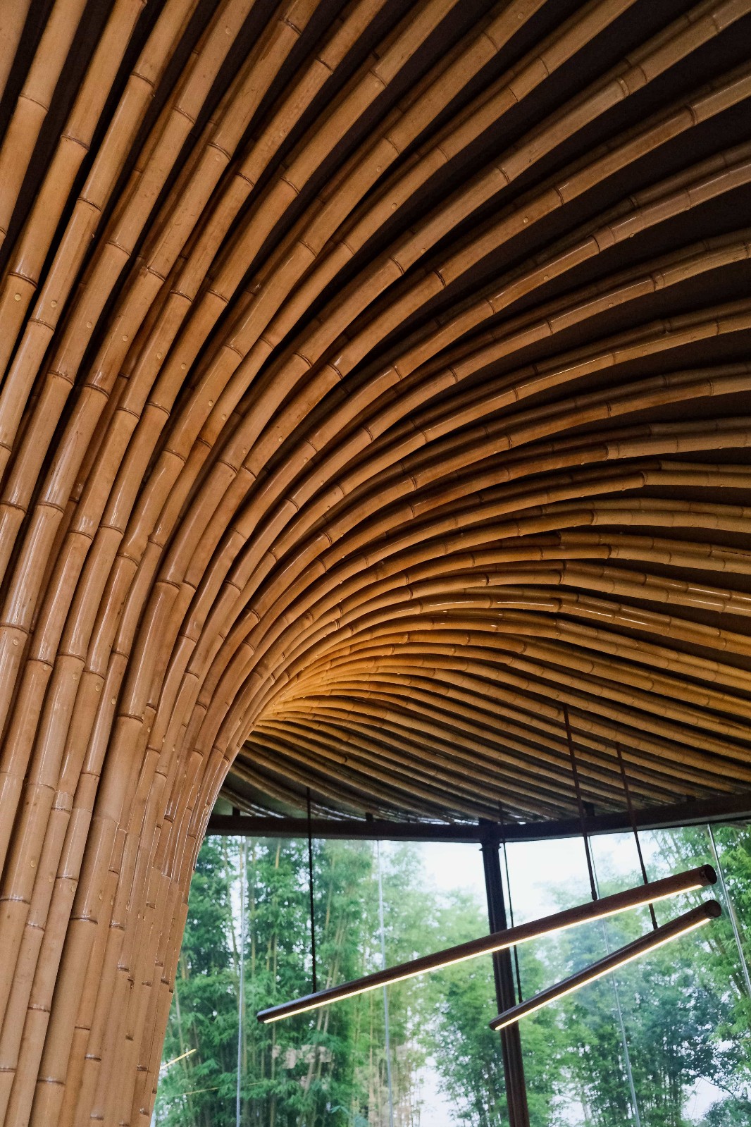 BIM建筑|大叶底下好乘凉：2024成都世园会•兴城展园 / 小隐建筑