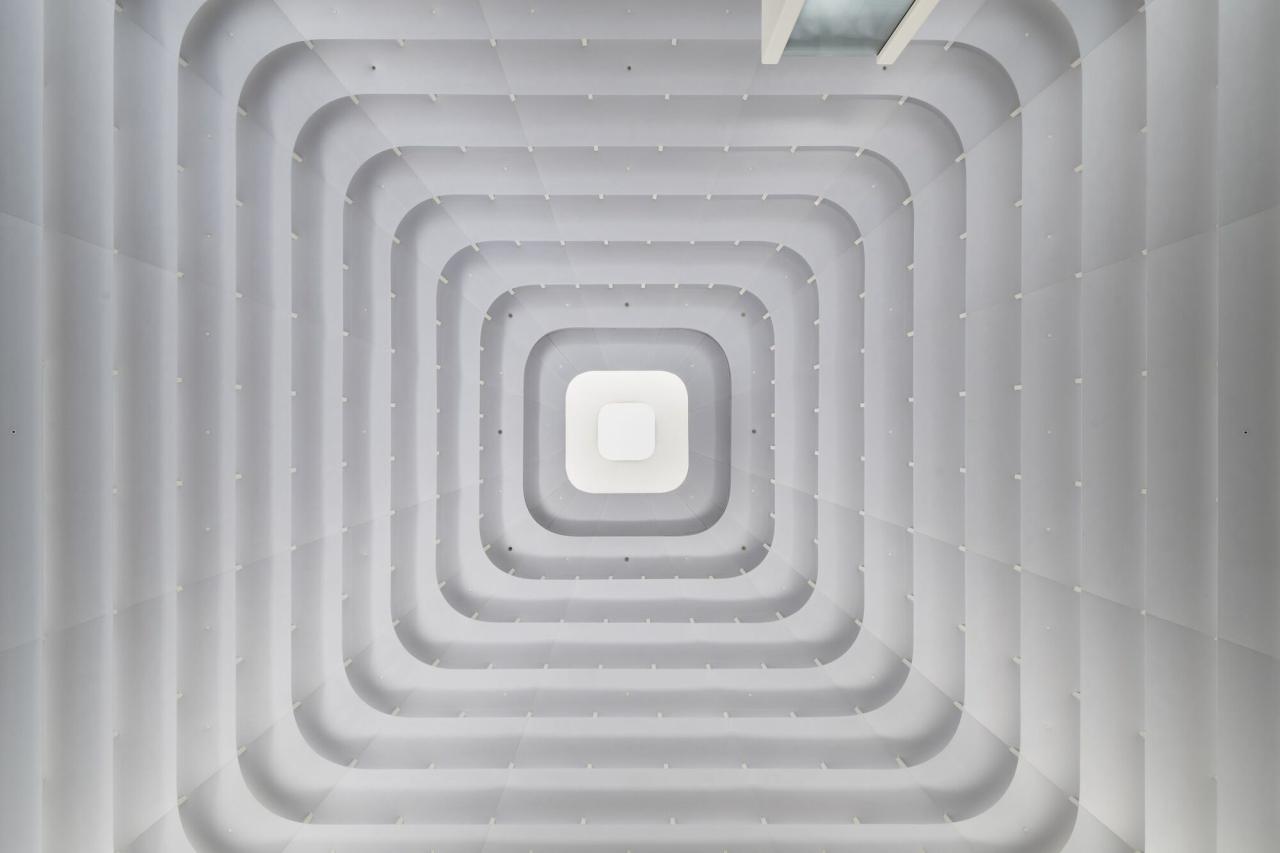 BIM建筑|苹果吉隆坡 TRX 店 / Foster + Partners