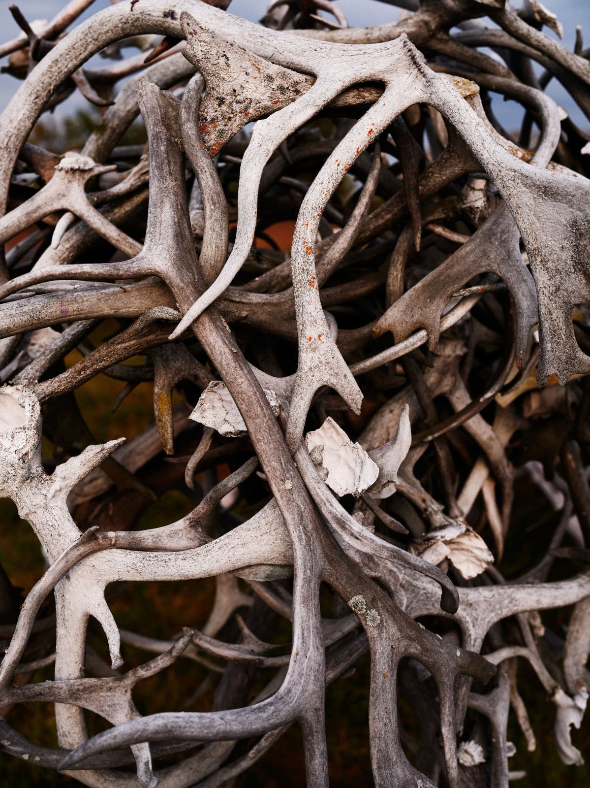 BIM建筑|Čoarvemátta 文化与教育中心 / Snøhetta + 70°N arkitektur + Joar Nango