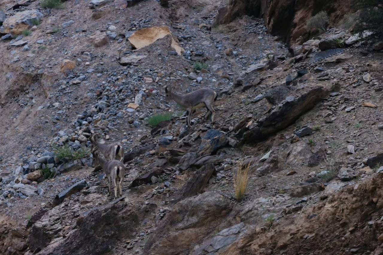 BIM建筑|西藏•怒江72拐大峡谷景区 / 小隐建筑事务所