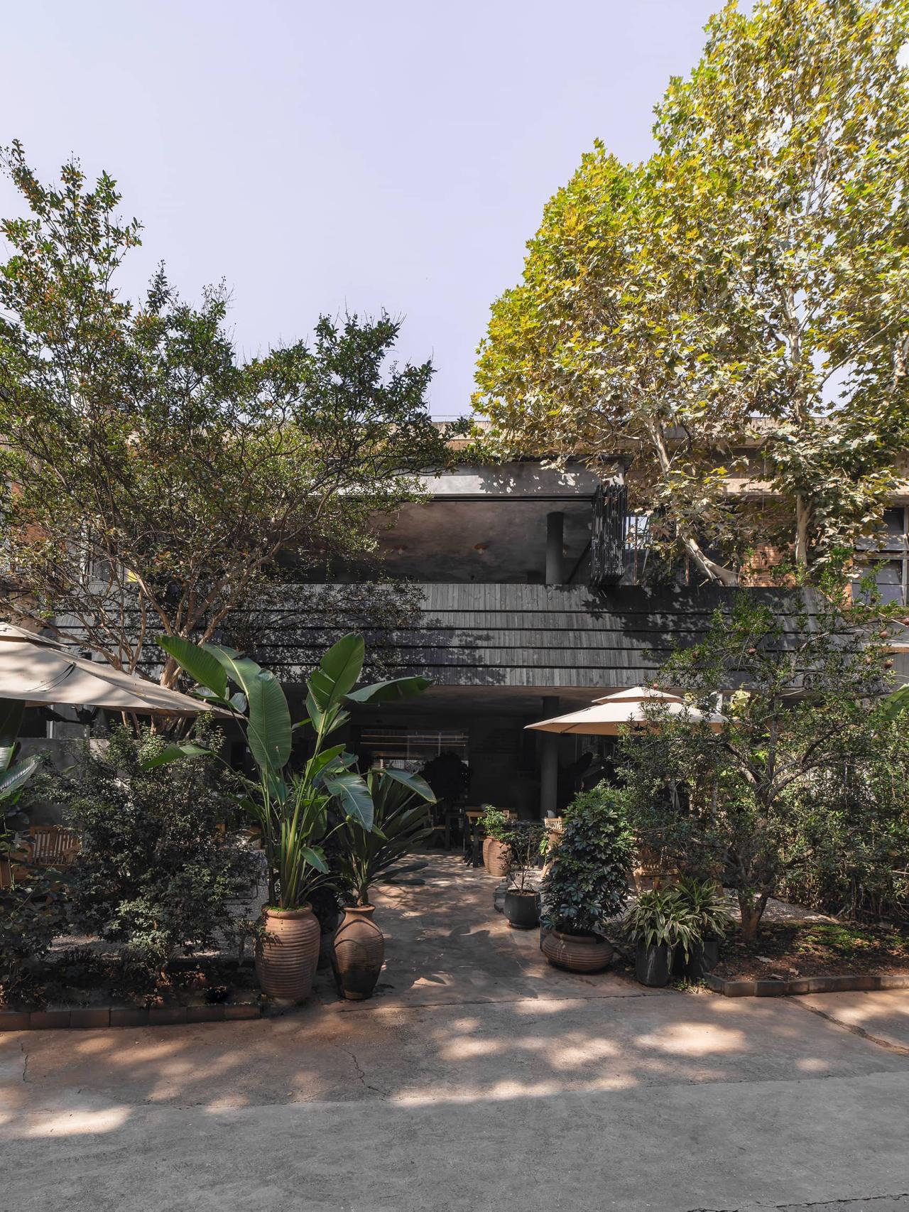 BIM建筑|接梯空间：旧厂房，新书咖 / 素造建筑