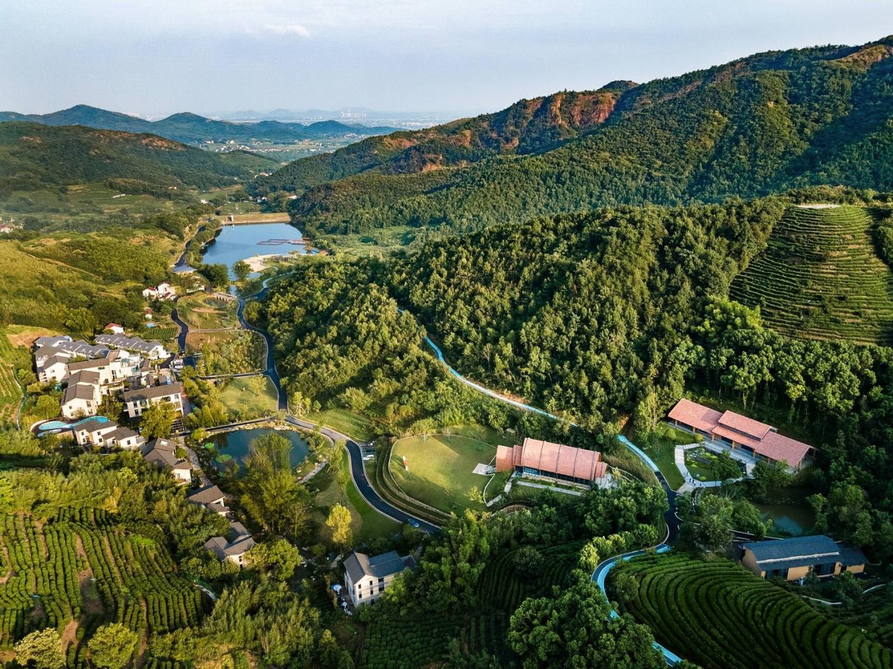 BIM建筑|枕山栖谷，虎凹慢时光：庐江县柯坦镇虎凹欢乐茶谷 / 中铁合肥建筑市政工程设计研究院有限公司