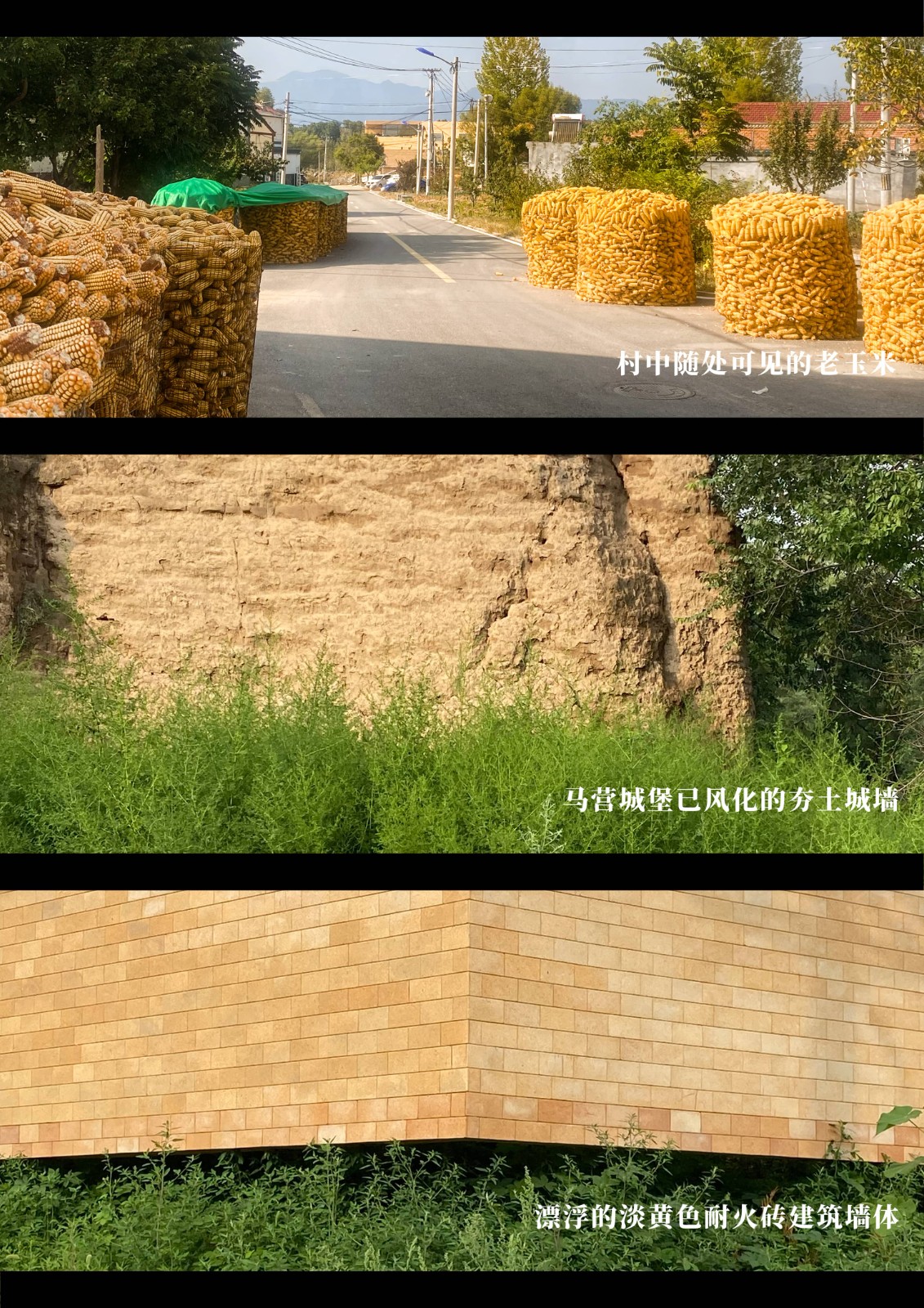 BIM建筑|ARVO 16：30酒店: 接住光影草木的城堡 / 大料建筑