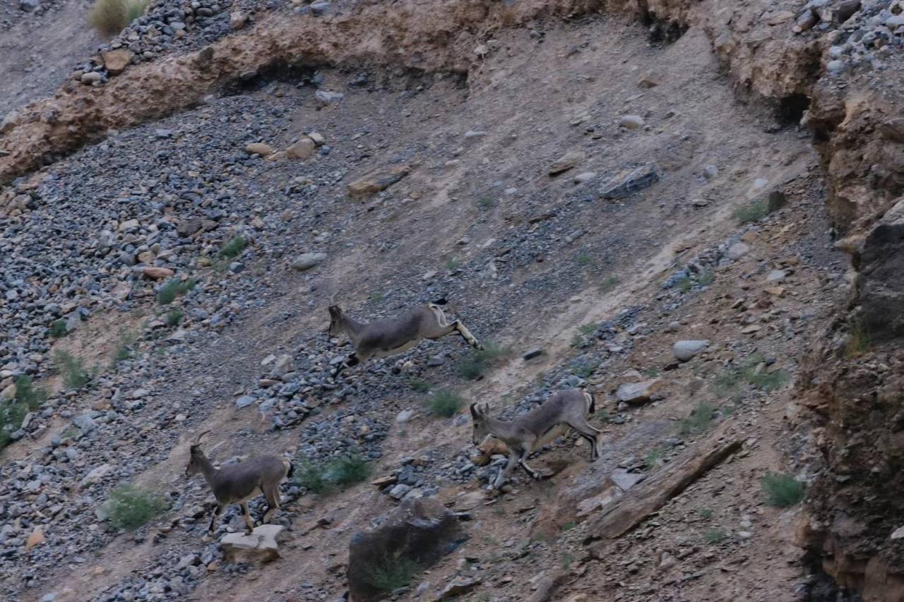 BIM建筑|西藏•怒江72拐大峡谷景区 / 小隐建筑事务所