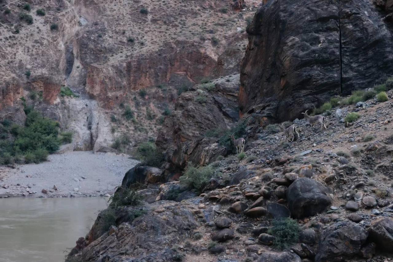 BIM建筑|西藏•怒江72拐大峡谷景区 / 小隐建筑事务所