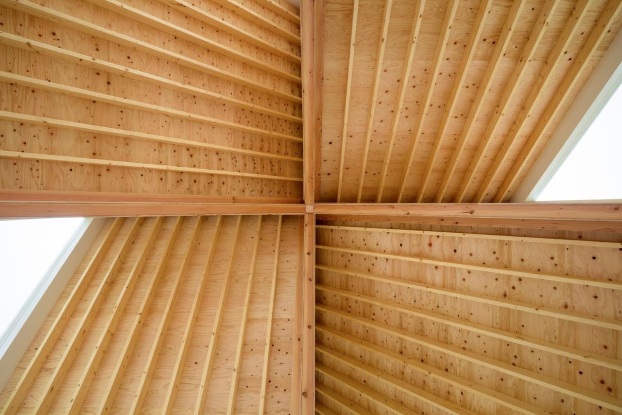 BIM建筑|富津度假小屋 / Atelier MEME