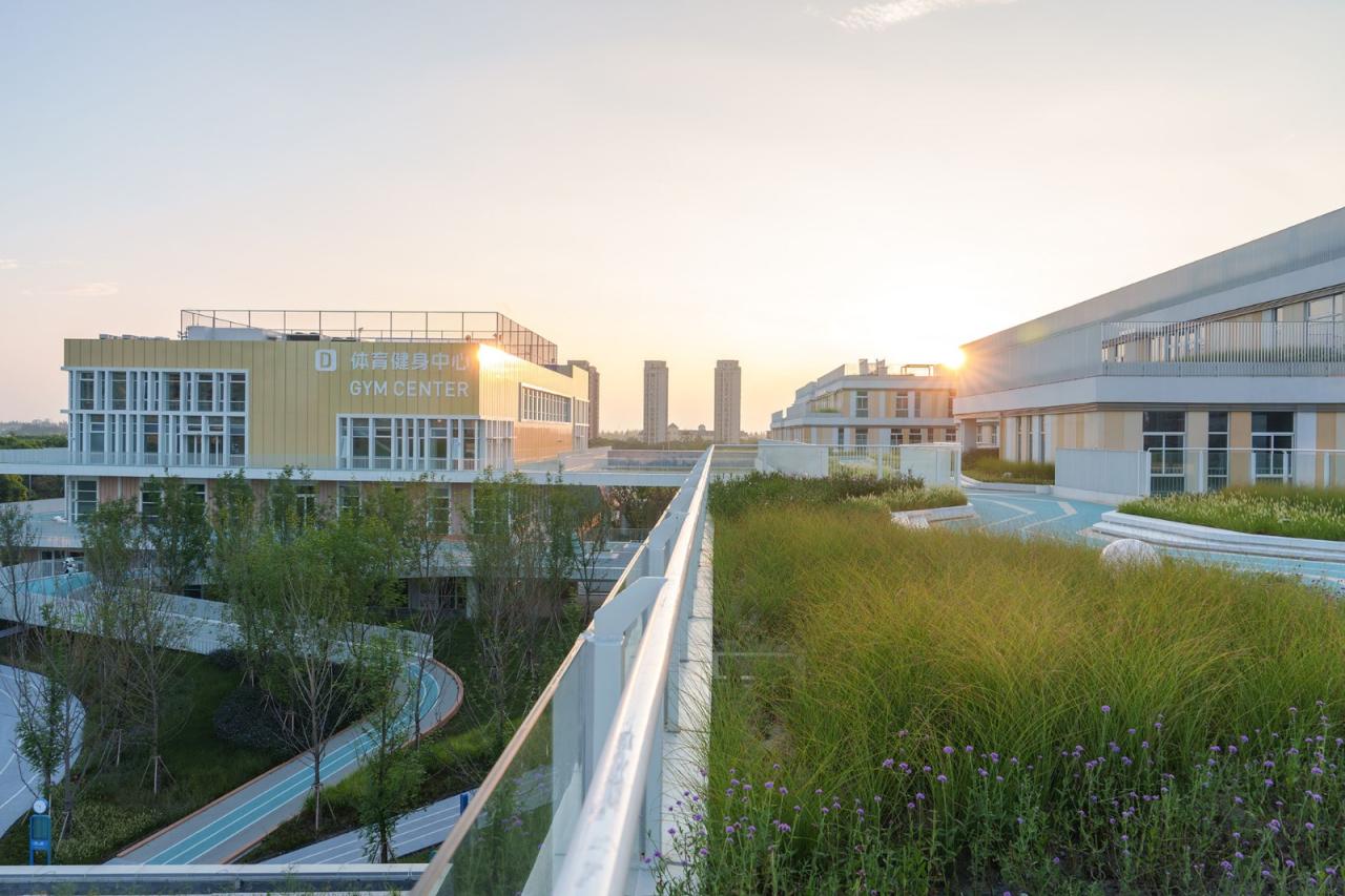 BIM建筑|上海市实验学校嘉定新城分校 / 大观景观