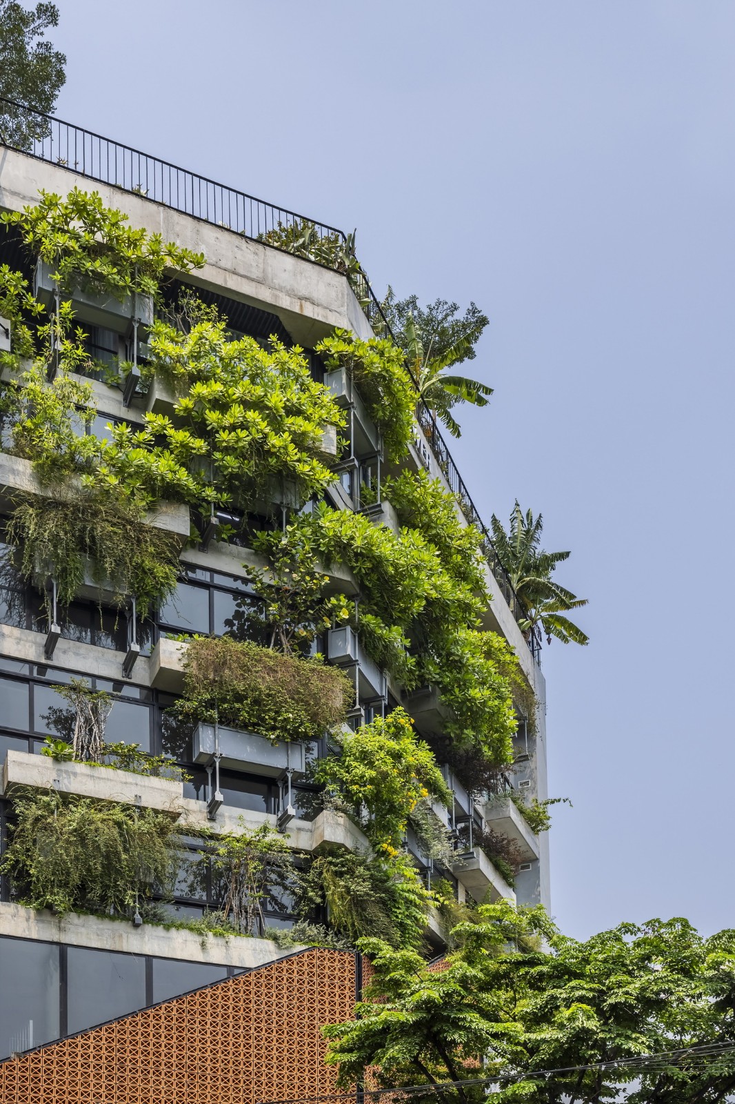 BIM建筑|AEC 4B 外语教育中心 / Ho Khue Architects