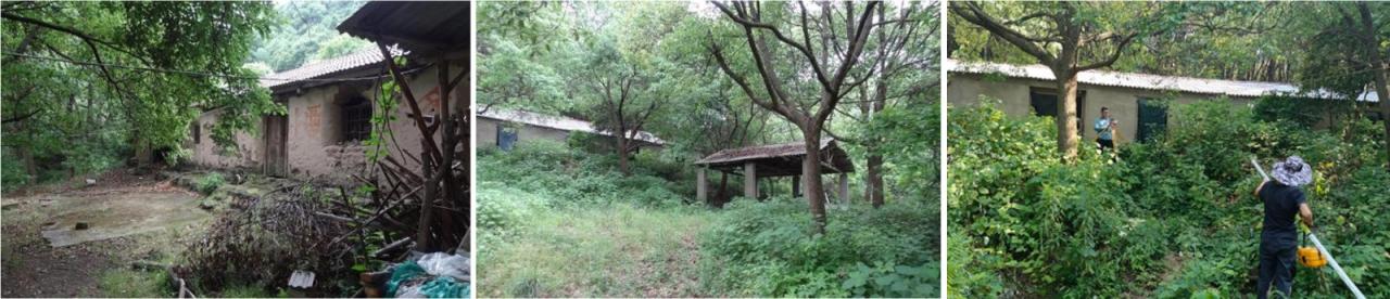 BIM建筑|枕山栖谷，虎凹慢时光：庐江县柯坦镇虎凹欢乐茶谷 / 中铁合肥建筑市政工程设计研究院有限公司