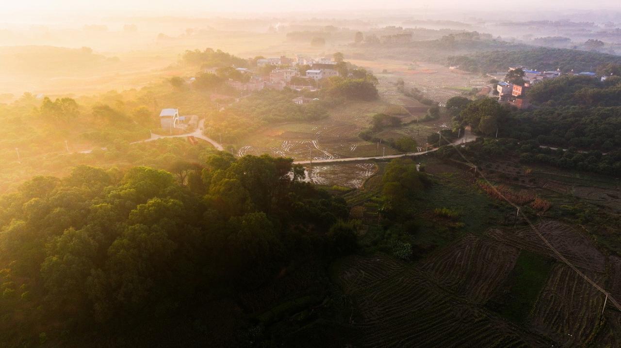 BIM建筑|独岭教育文化中心 / 明德工程,香港大学
