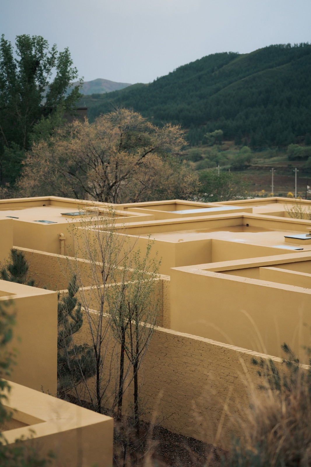 BIM建筑|KALHA 酒店·“沃里屯”村落更新 / CPLUS