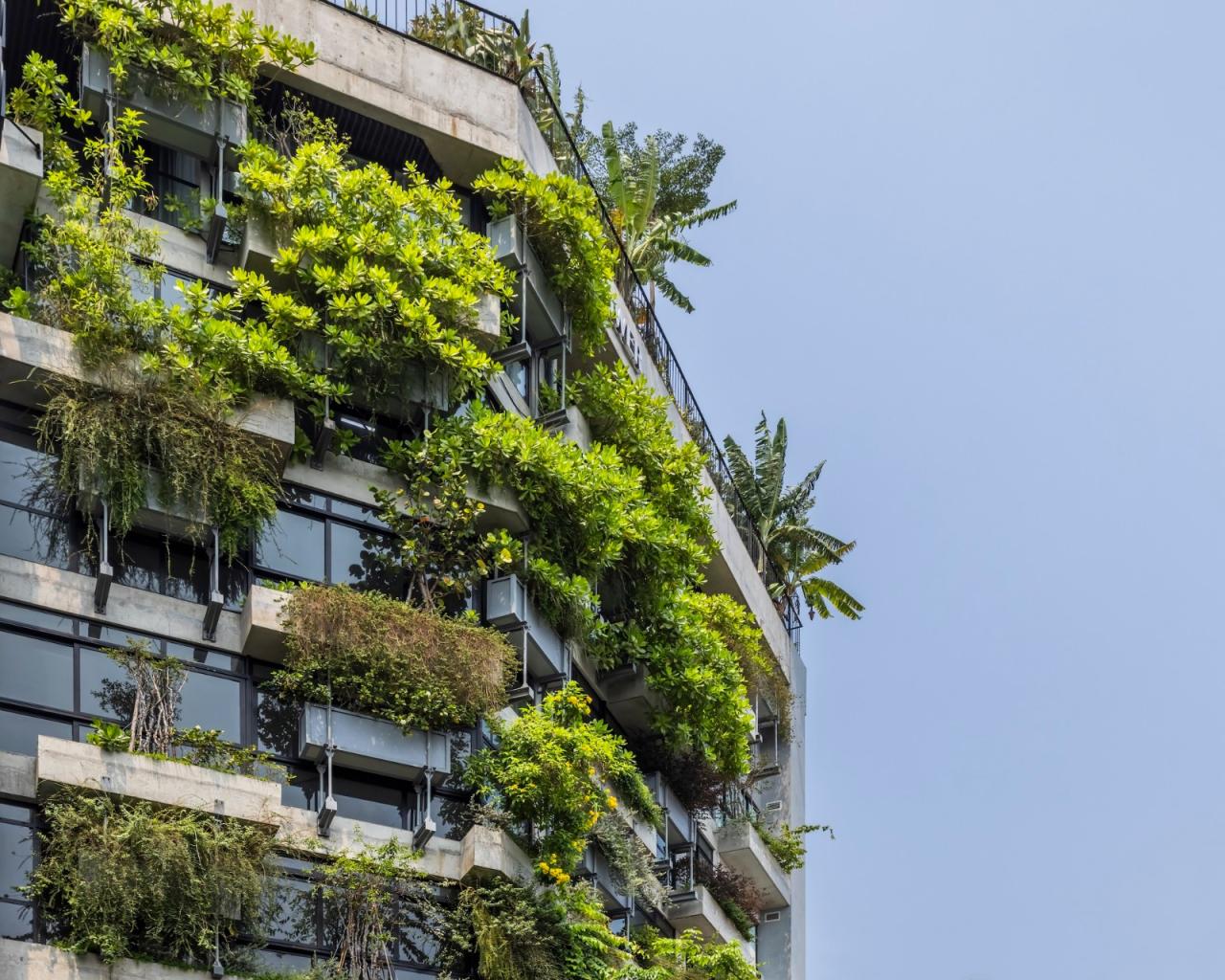 BIM建筑|AEC 4B 外语教育中心 / Ho Khue Architects