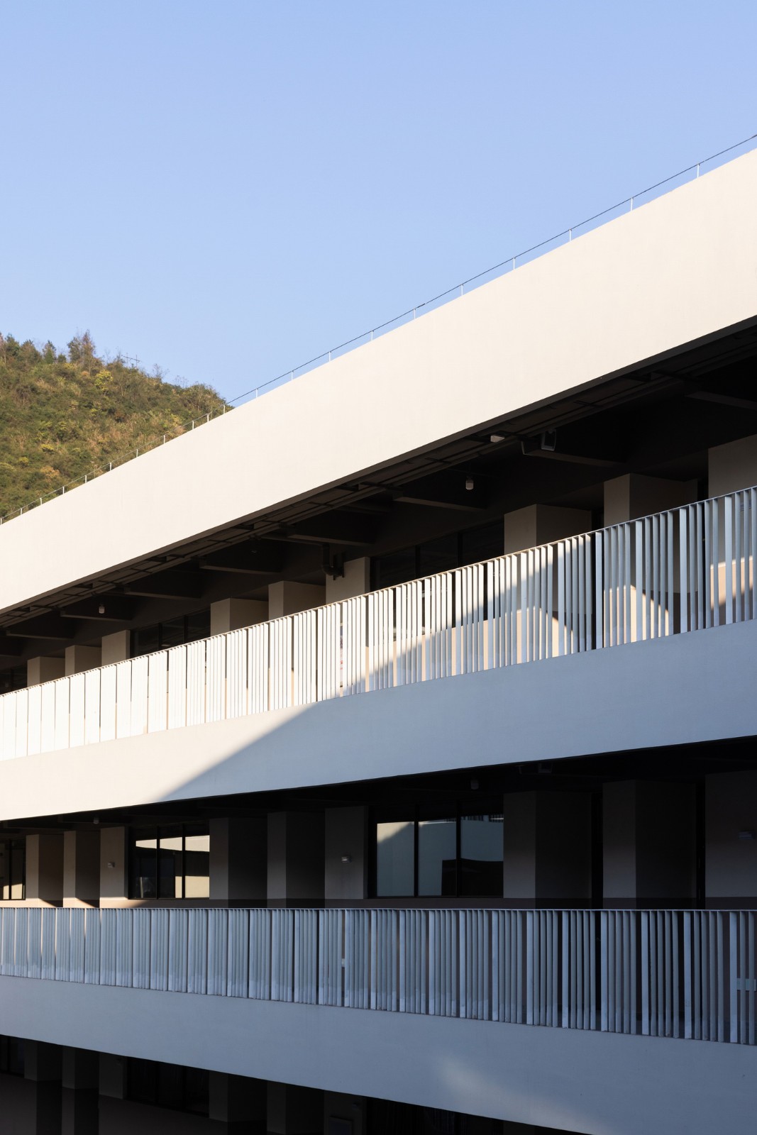 BIM建筑|南山五福堂高级中学 / 小写建筑