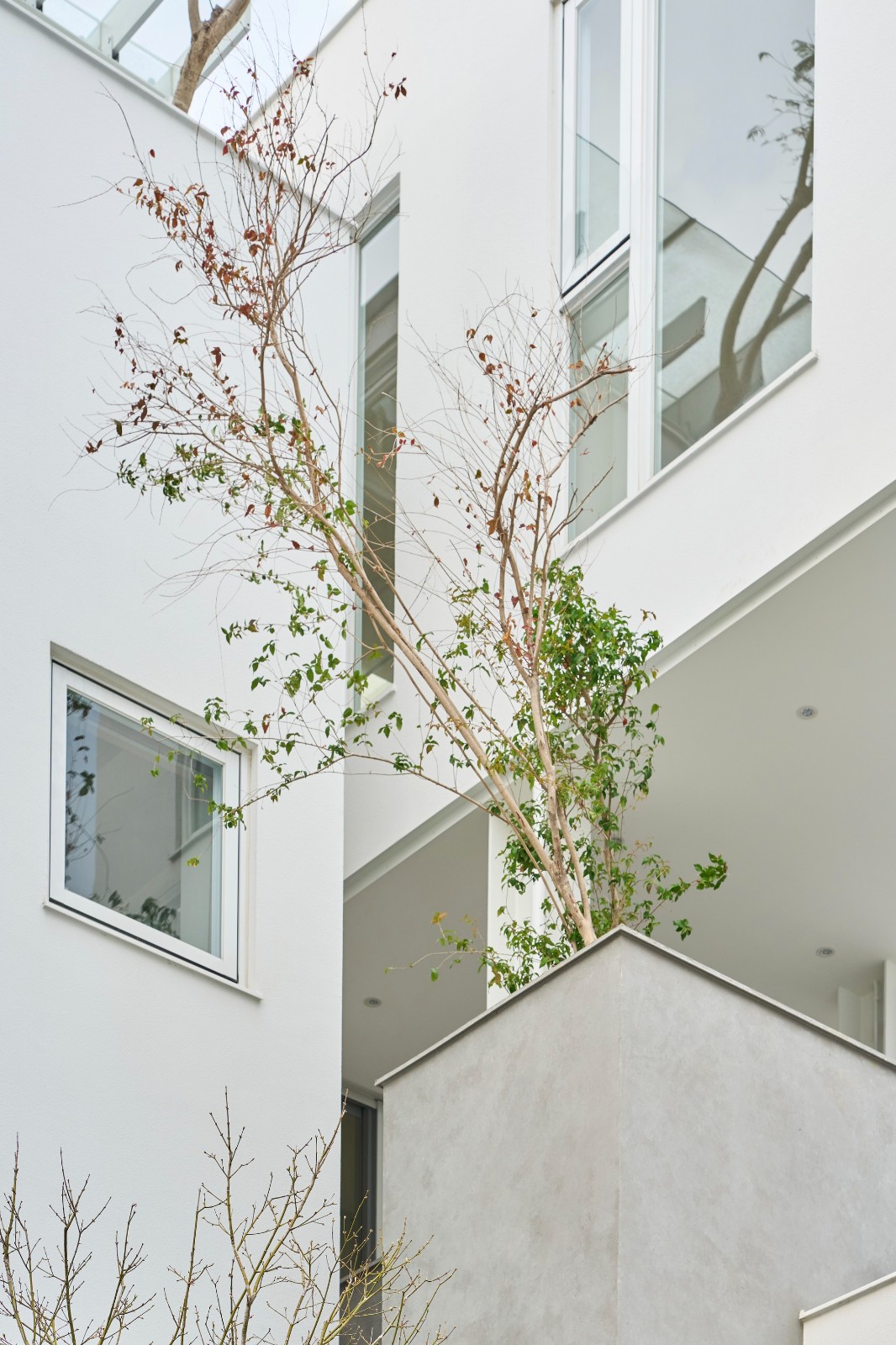 BIM建筑|山谷之家 / Soar Design Studio + Ray Architects