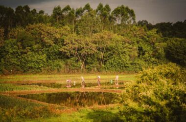 BIM建筑|独岭教育文化中心 / 明德工程,香港大学-BIM建筑网