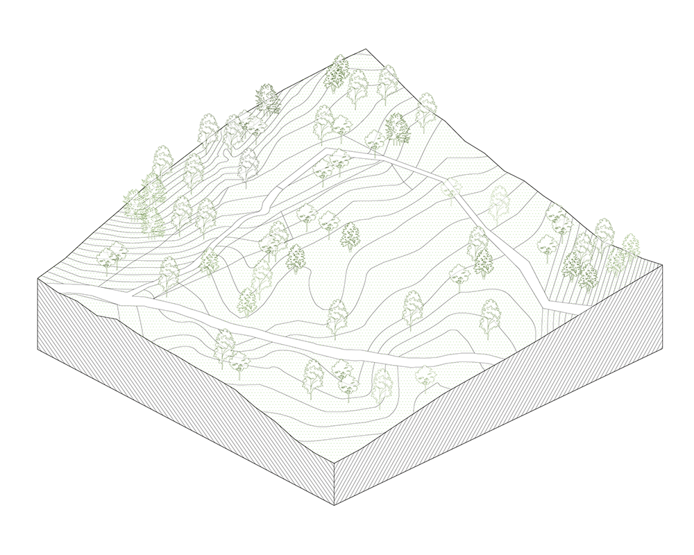 BIM建筑|KALHA 酒店·“沃里屯”村落更新 / CPLUS