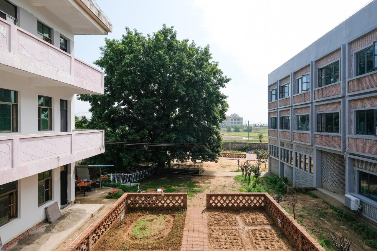 BIM建筑|沿江乡村学校 / DOMAT